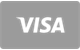 Visa flat card payment icon